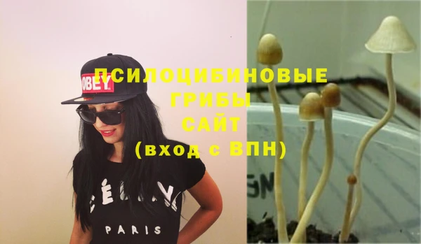дживик Снежинск