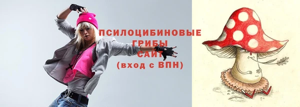 сатива Верхнеуральск