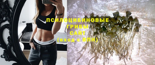 ГАЛЛЮЦИНОГЕННЫЕ ГРИБЫ Снежногорск