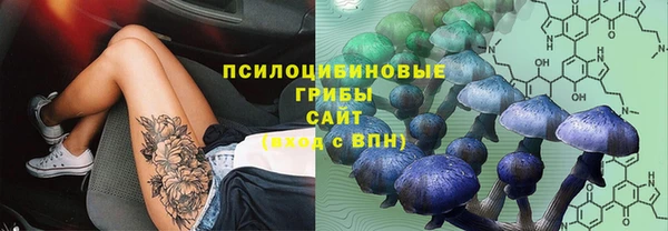 сатива Верхнеуральск