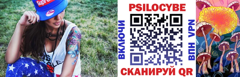 купить  цена  Ростов  блэк спрут зеркало  Псилоцибиновые грибы Psilocybe 